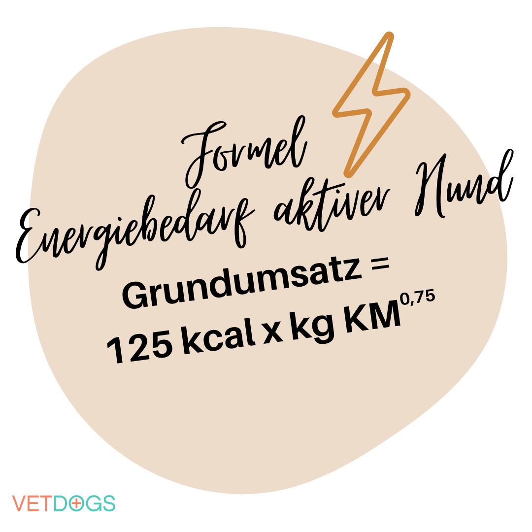 Formel Energiebedarf Hund Formel Energiebedarf Hund