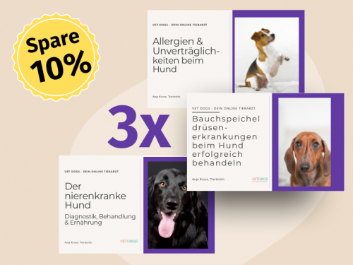 Gesundheitsbundle 3 Fortbildungen