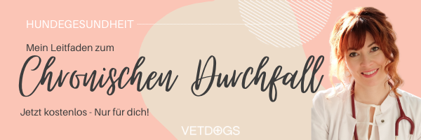 Banner-Chronischer-Durchfall Banner-Email-Leitfaden-Chronischer Durchfall