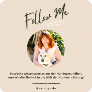 Vet-Dogs auf Instagram folgen