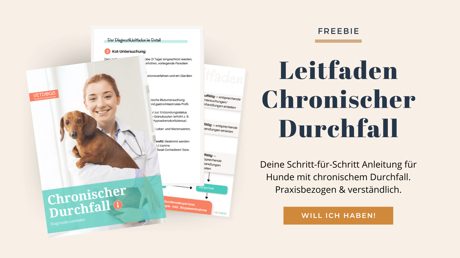 Freebie Leitfaden Chronischer Durchfall