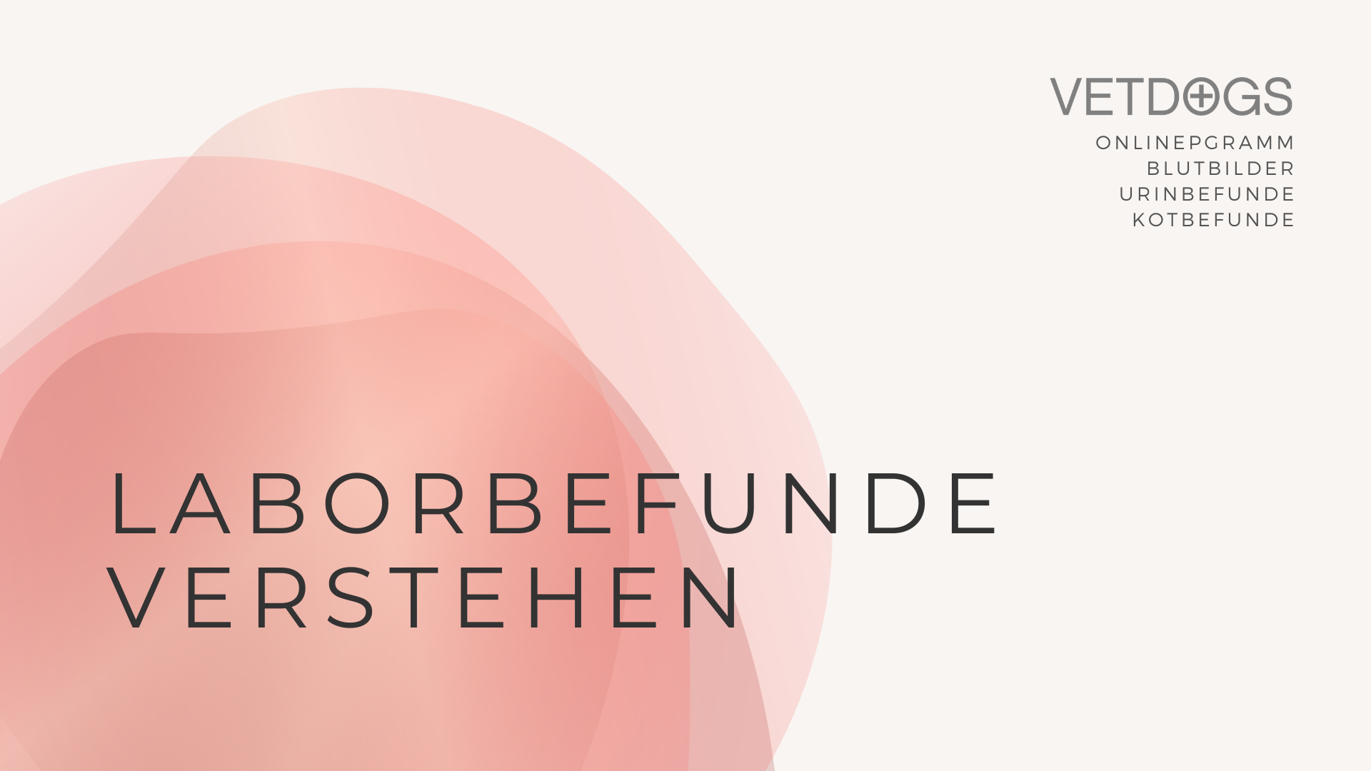 Laborbefunde verstehen - Titel