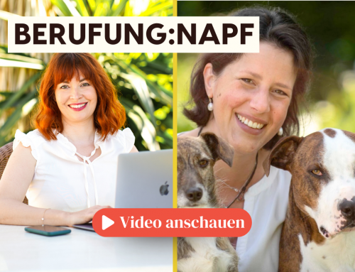 Berufung:Napf – Thea Luthe berichtet vom Alltag als Hundeernährungsberaterin
