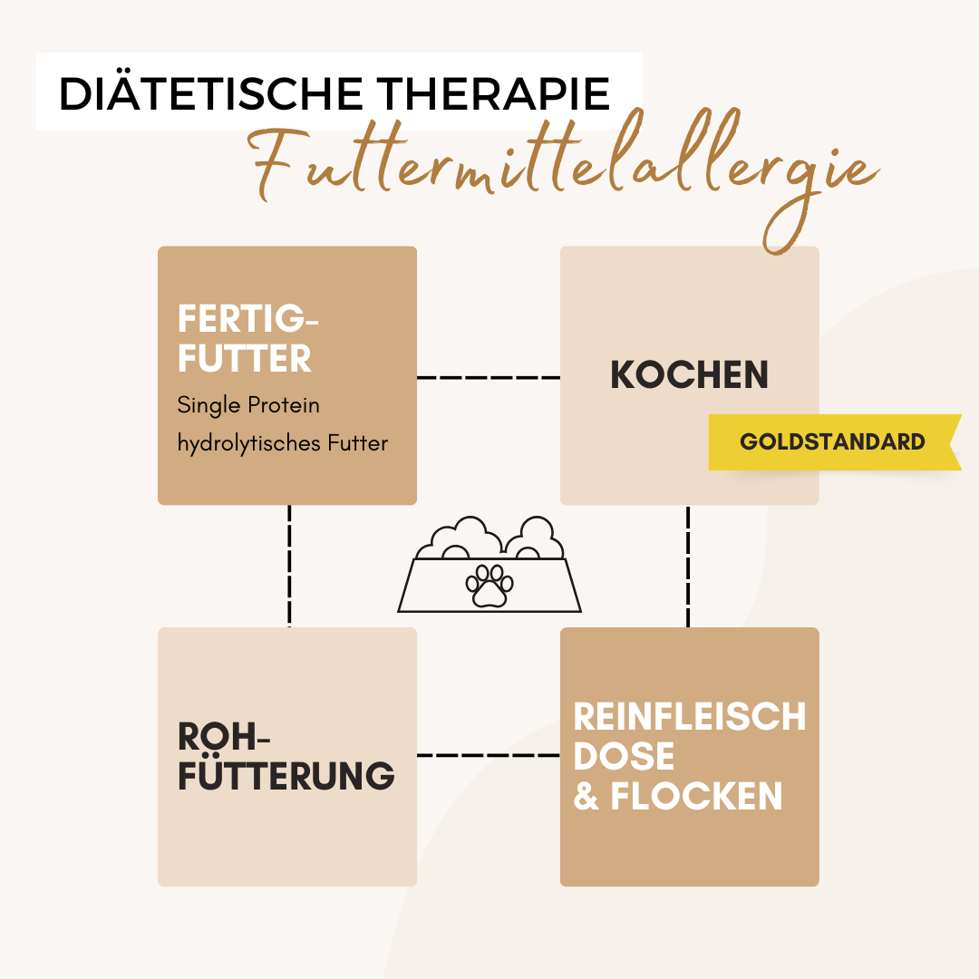 unterschiedliche-Arten-Eliminationsdiät-Hund