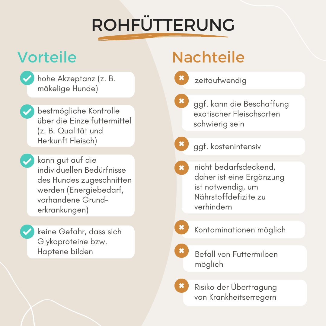 Vorteile-Nachteile-BARF-Ausschlussdiät-Hund-Eliminationsdiät