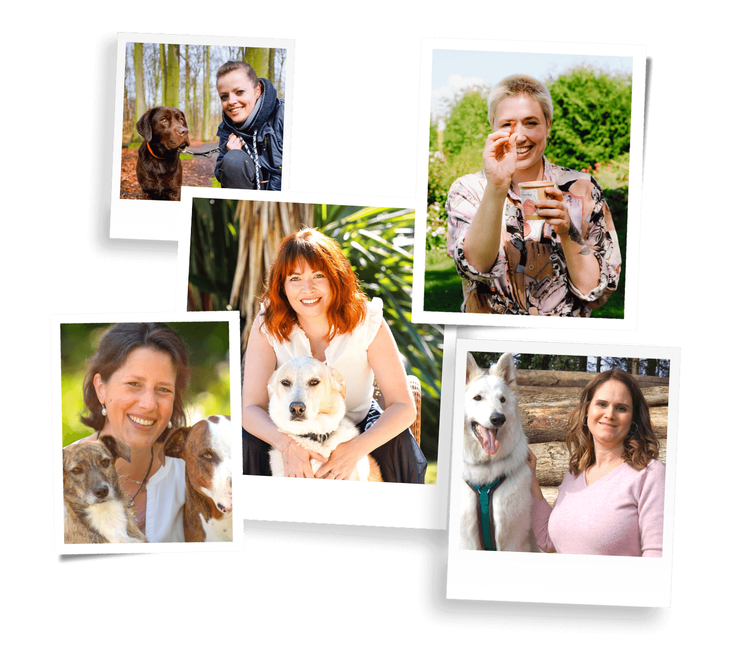 vet-dogs-erfahrungen-opt Erfahrungen mit Vet-Dogs Mockup