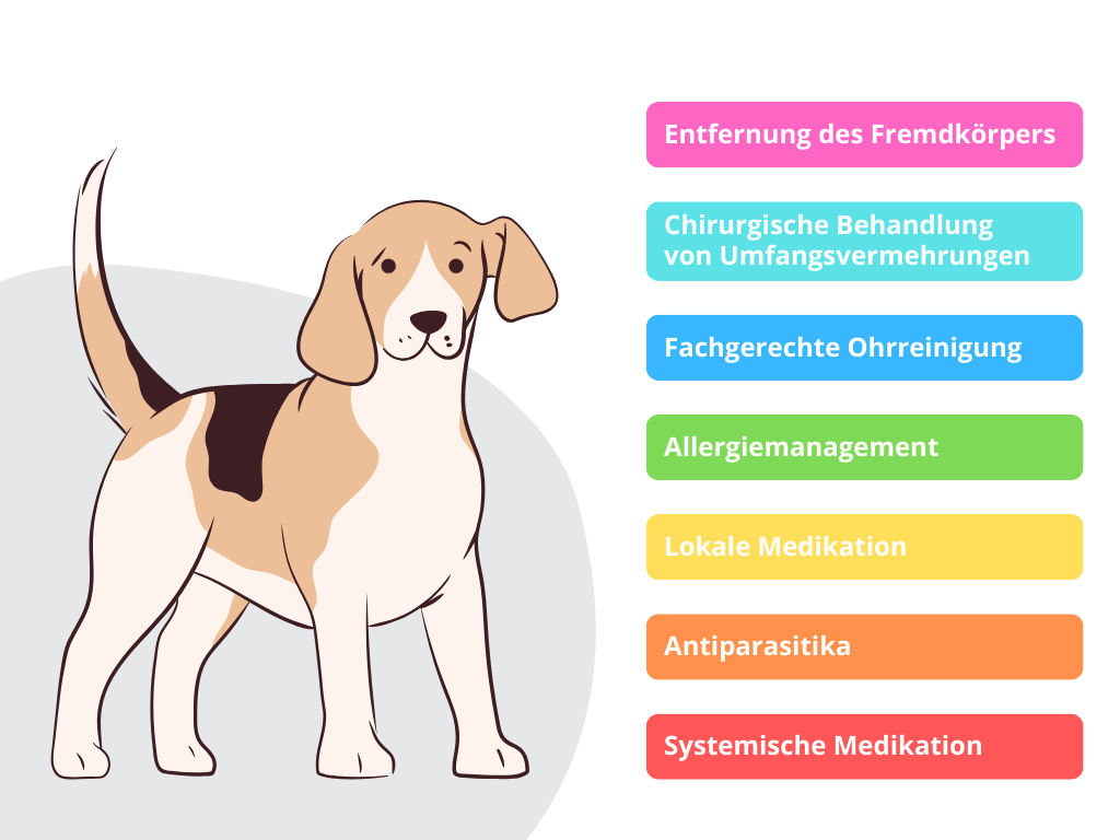 Therapie einer Otits externa