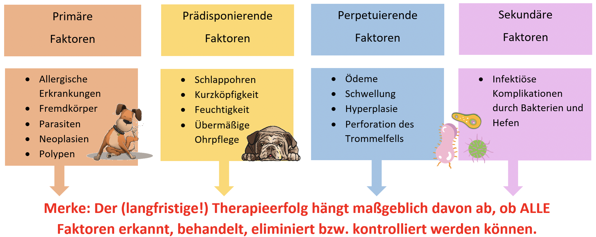 Begünstigende Faktoren bei einer Ohrentzündung Begünstigende Faktoren bei einer Ohrentzündung
