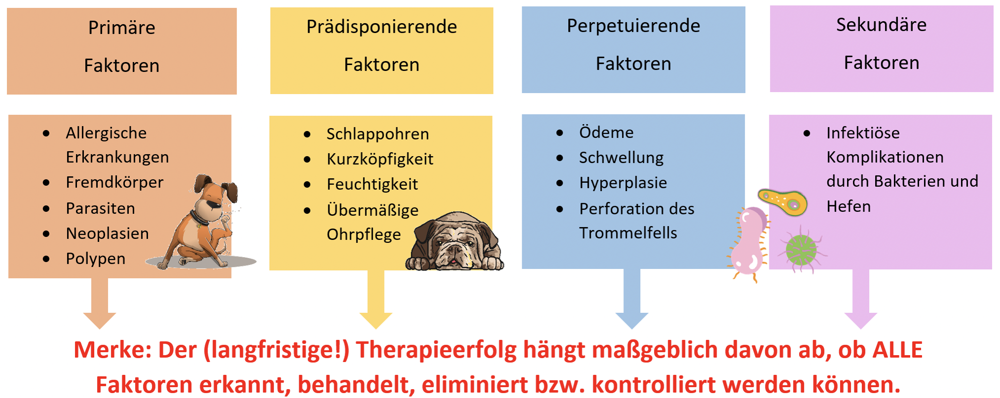 Begünstigende Faktoren bei einer Ohrentzündung