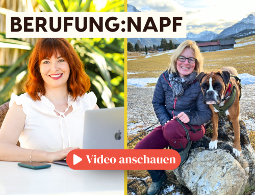 Berufung:Napf – Gabi Otten von GO FOR DOGS