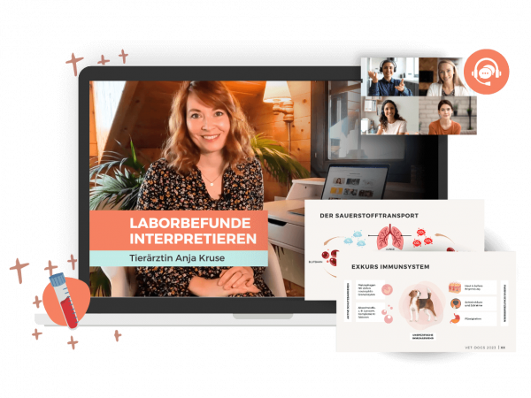 Onlinekurs Laborblick Produkt