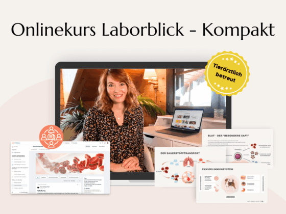 Onlinekurs Laborblick Pro - Produktbild