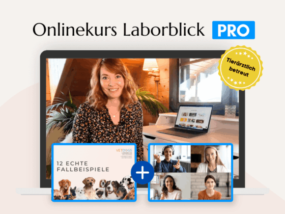 Onlinekurs Laborblick Pro - Produktbild