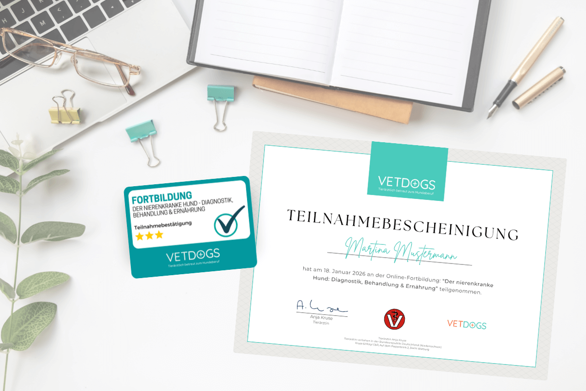 Fortbildung Niere Hund Teilnahmebescheinigung
