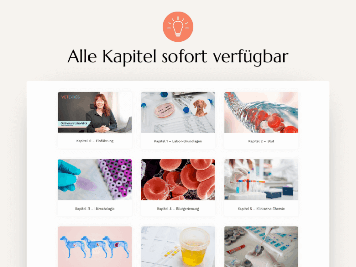 Kapitel sofort verfügbar