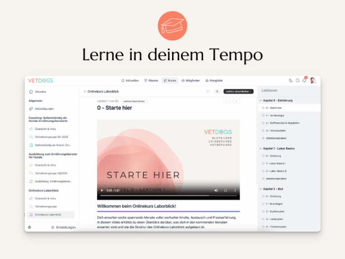 Lerne in deinem Tempo