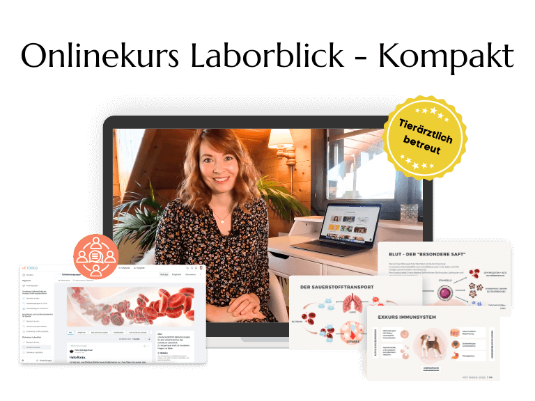 Onlinekurs Laborblick - Kompakt