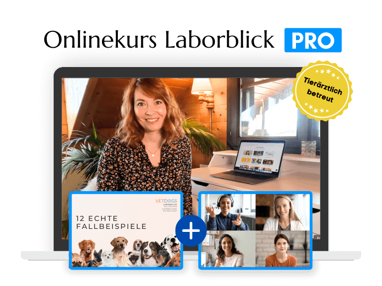 Onlinekurs Laborblick - Pro