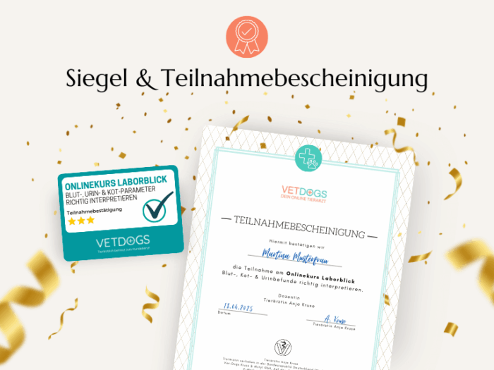 Teilnahmebescheinigung und Siegel
