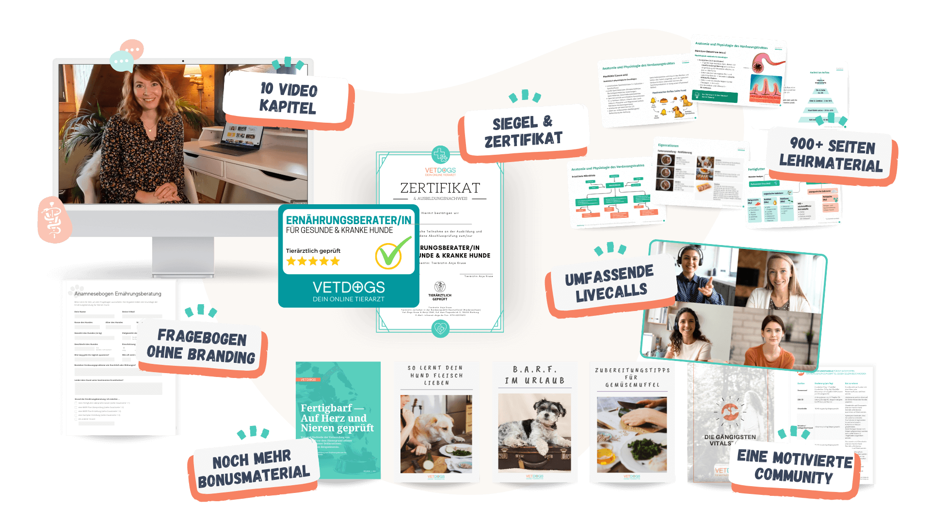 das-umfasst-die-ausbildung Das umfasst die Ausbildung Infografik