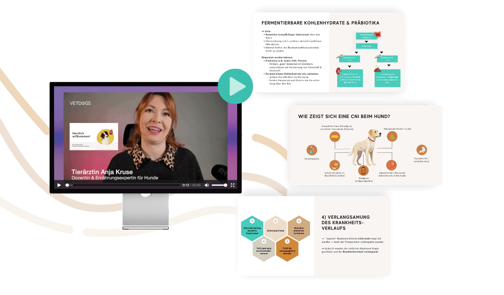 Mail Header Fortbildung Niere