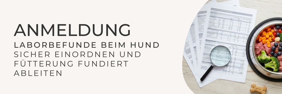 Anmeldung-Banner-Laborbefunde beim Hund sicher einordnen und Fuetterung fundiert ableiten