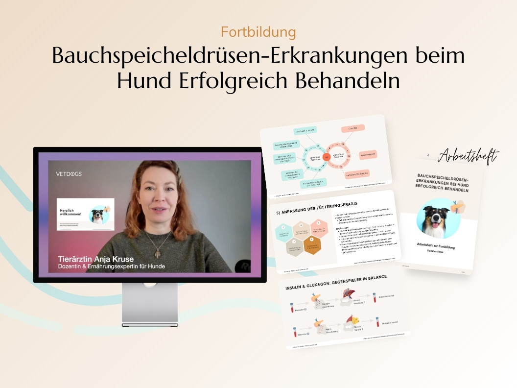 Bauchspeicheldrüsen-Erkrankungen beim Hund Erfolgreich Behandeln