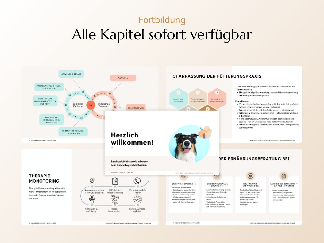 Bauchspeicheldrüsen-Erkrankungen beim Hund Erfolgreich Behandeln