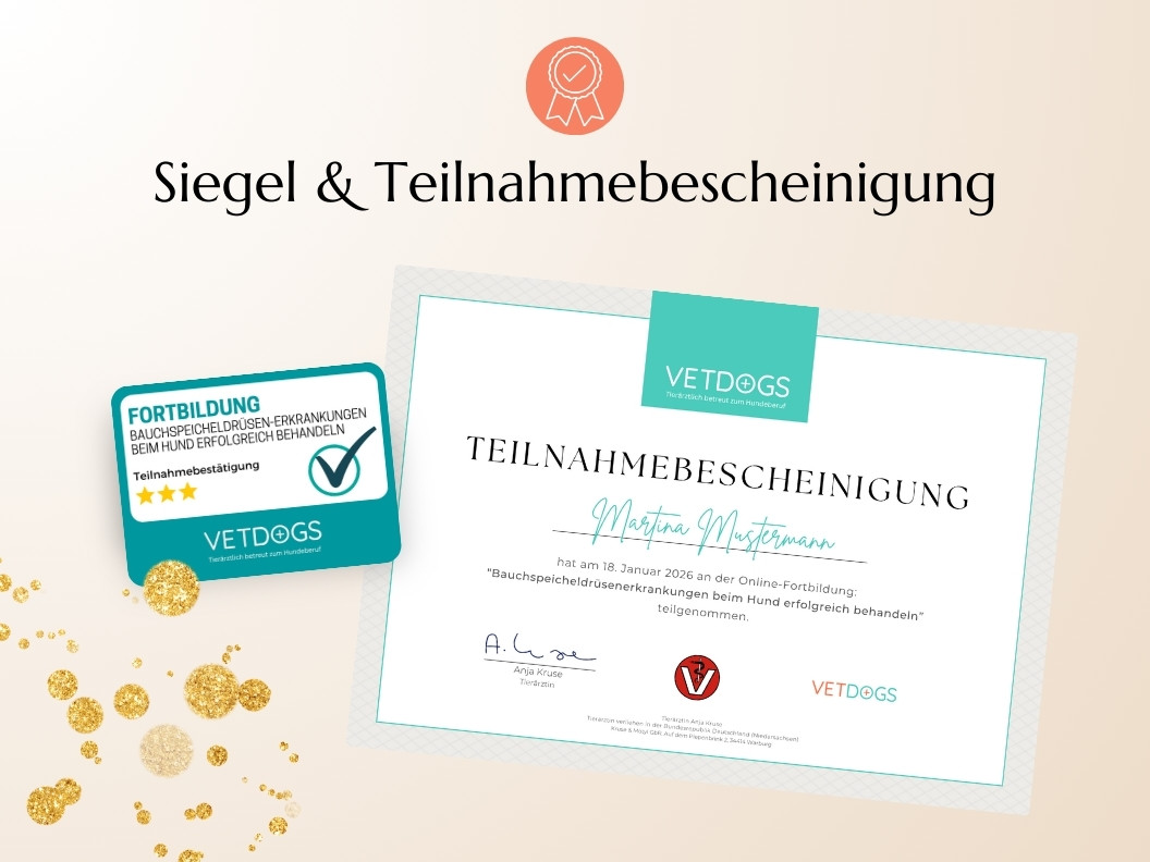 Bauchspeicheldrüsen-Erkrankungen beim Hund Erfolgreich Behandeln