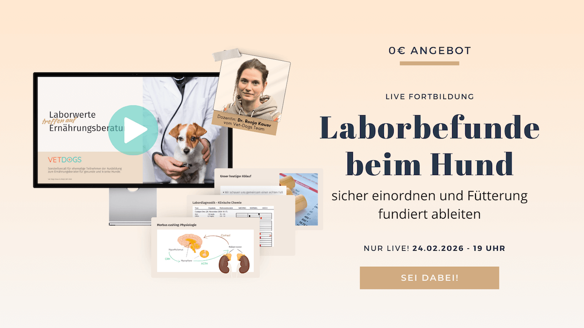 Freebie Laborbefunde beim Hund sicher einordnen