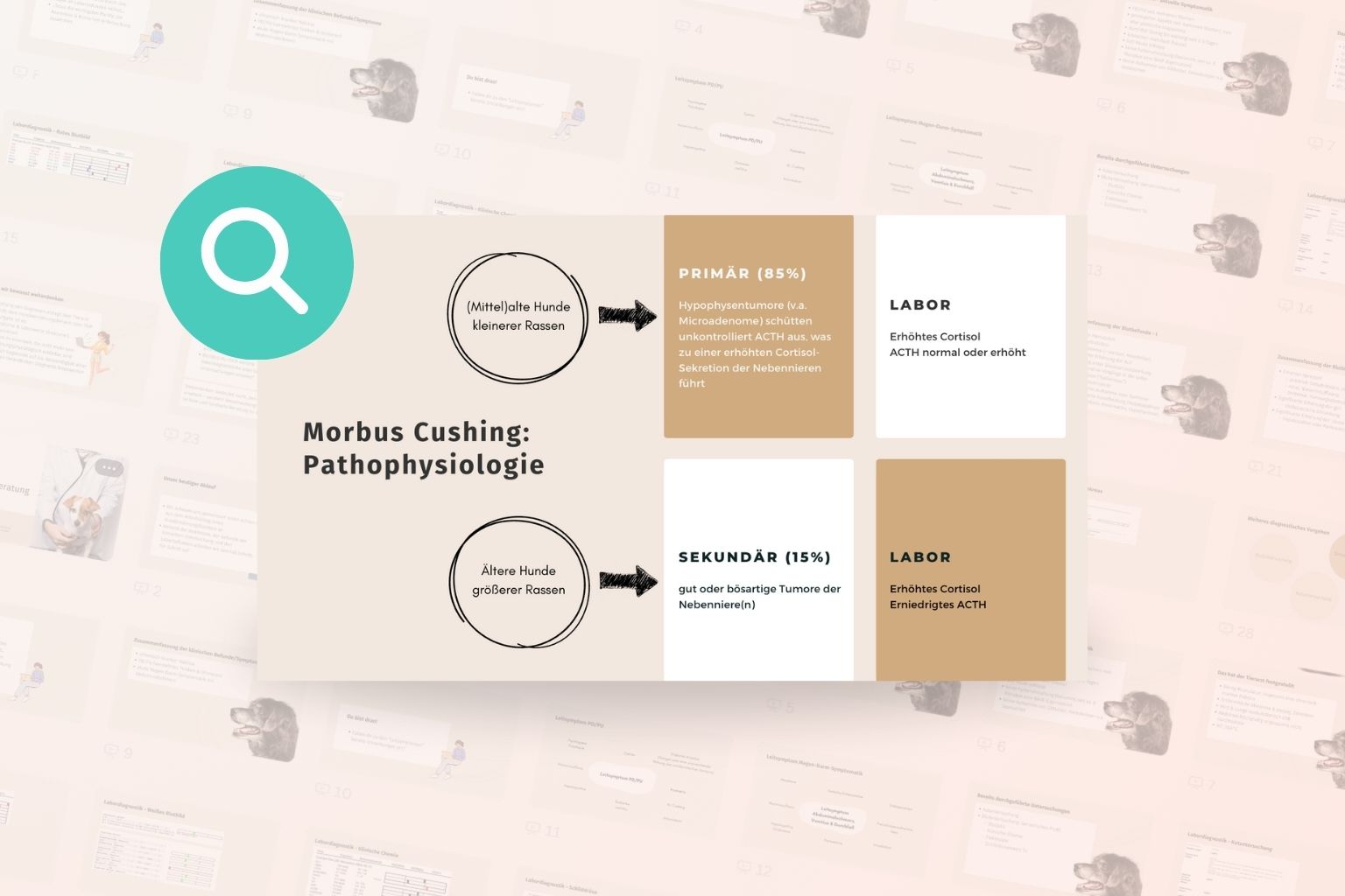 Auffälligkeiten erkennen