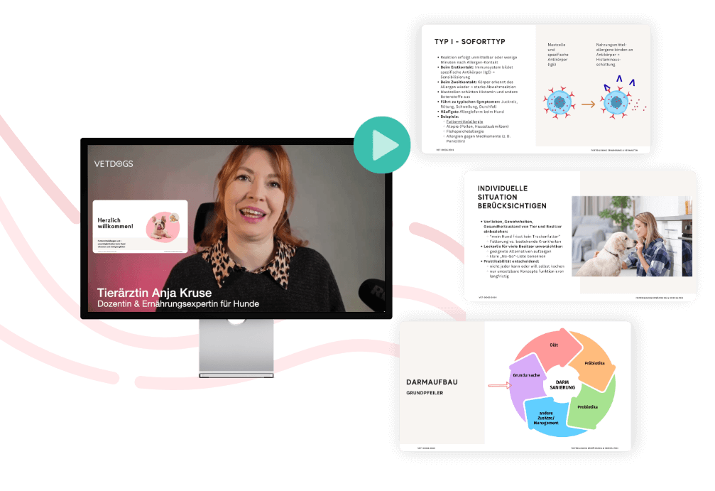 Futtermittelallergien & -unverträglichkeiten beim Hund erkennen & richtig begleiten
