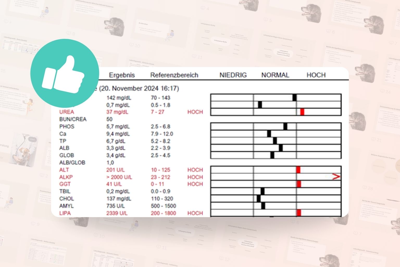Sicherheit bei Laborbefunden