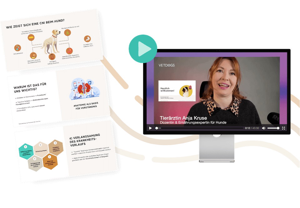 Vet-Dogs Fortbildungen