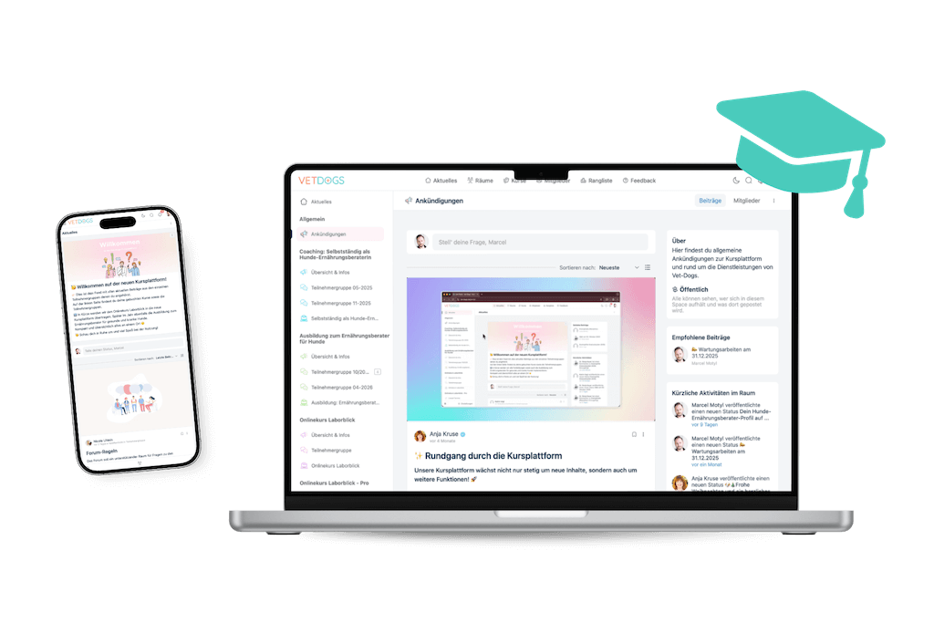 Vet-Dogs-Lernplattform Vet-Dogs Lernplattform
