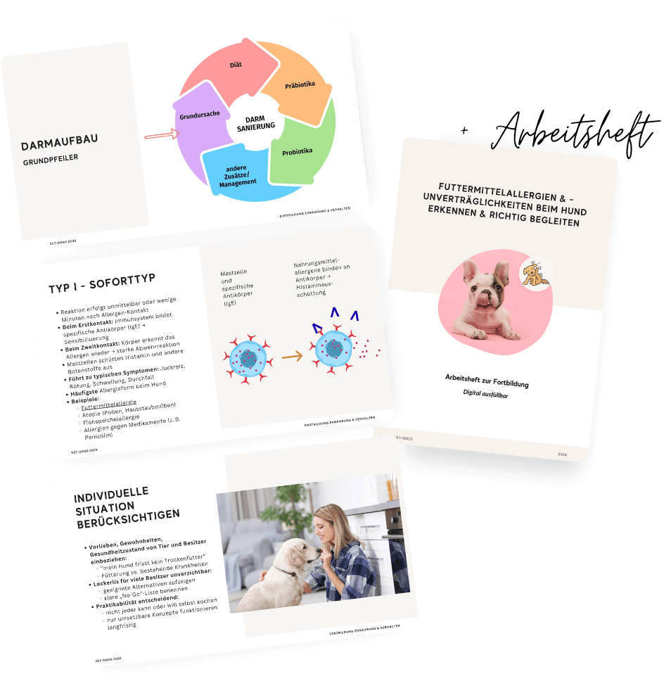 Dokumente Fortbildung Futtermittelallergien Hunde