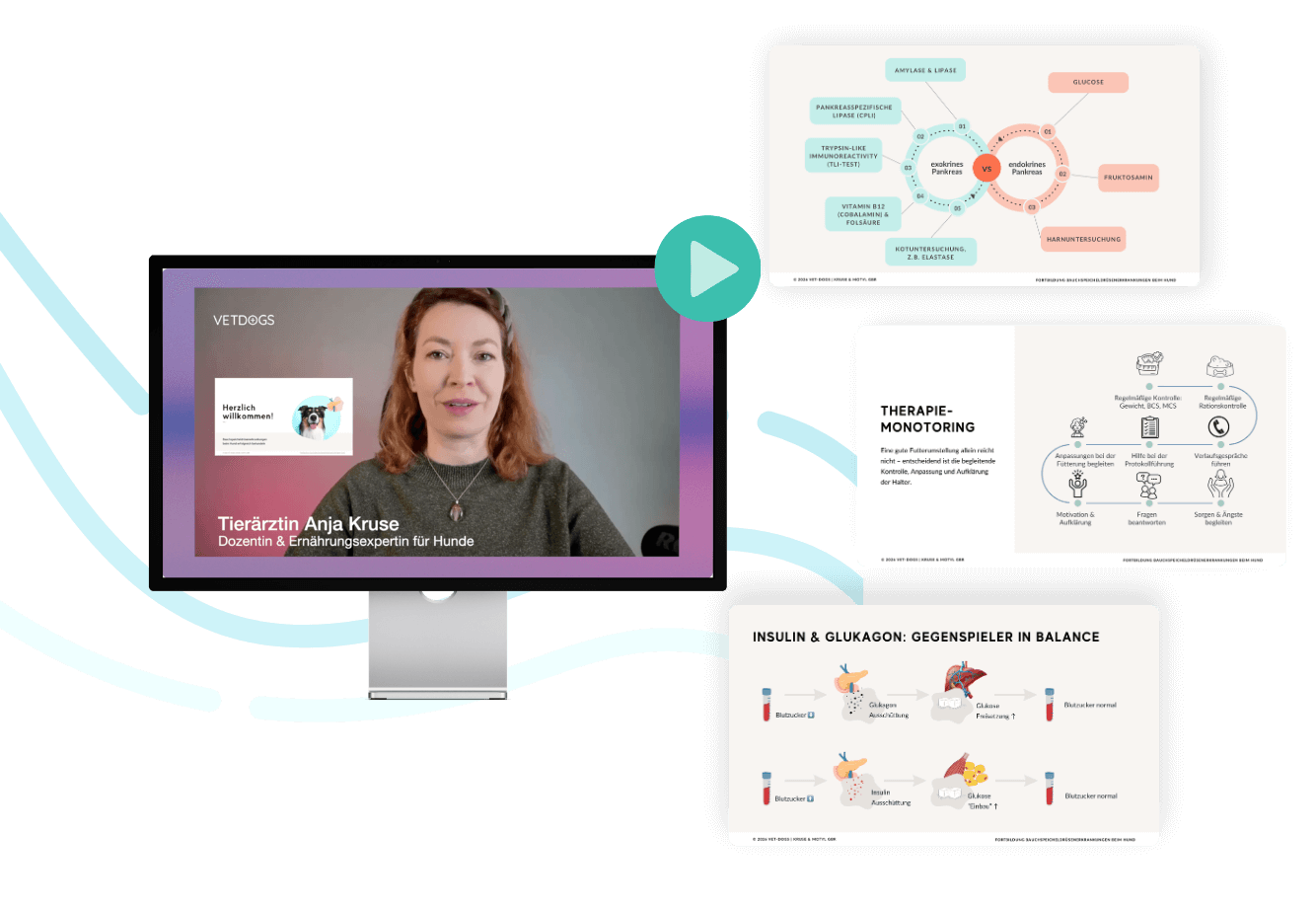 Header-Fortbildung-Bauchspeicheldruese-Hunde