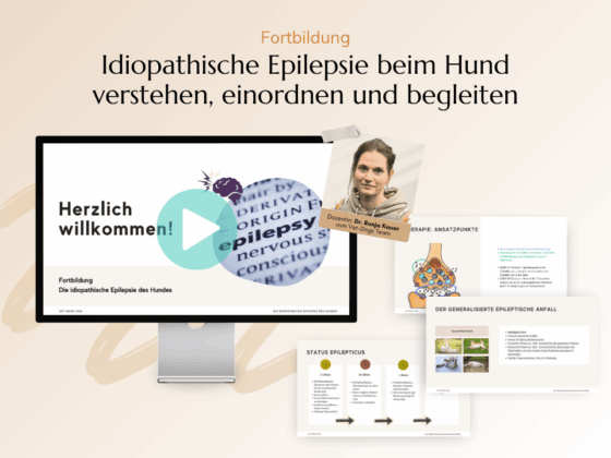 Live-Fortbildung-Die idiopathische Epilepsie des Hundes