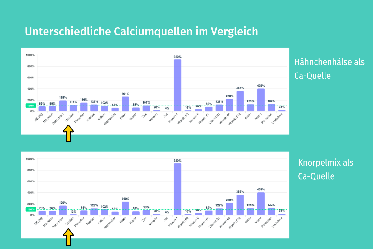 barf-ration-und-unterschiedliche-calciumquellen
