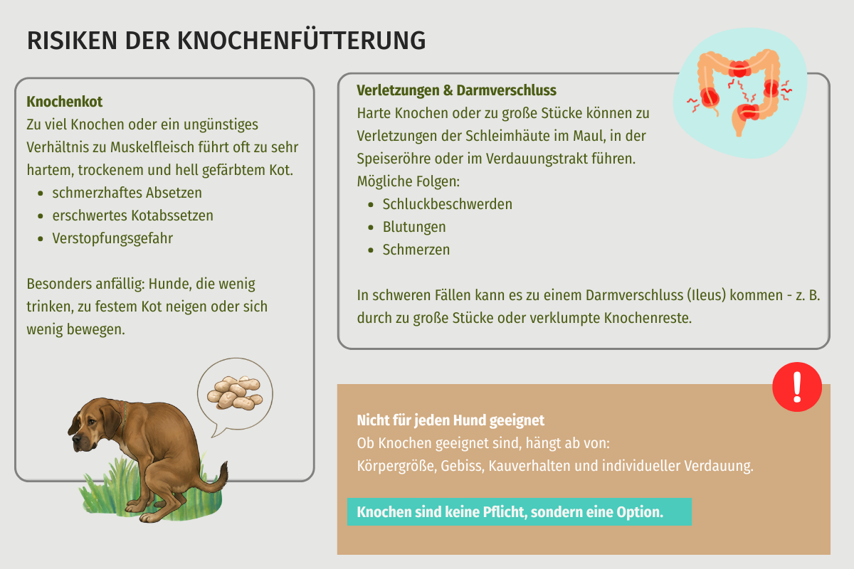 risiken-der-barf-fuetterung