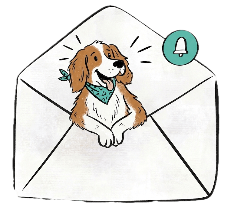 Vet-Dogs-Newsletter Vet-Dogs Newsletter